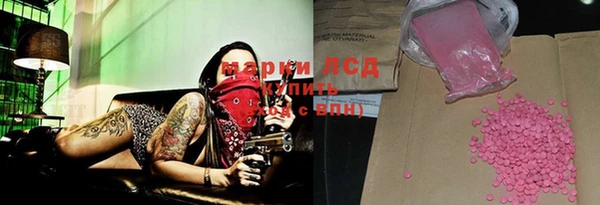индика Абаза