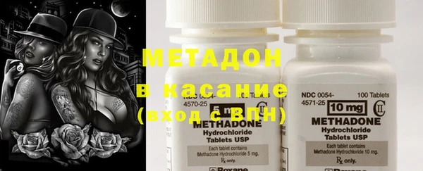индика Абаза
