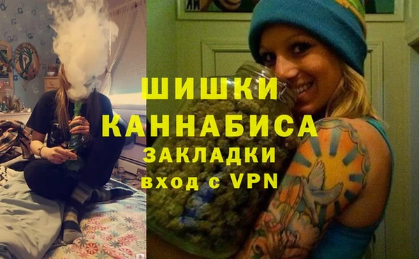 индика Абаза