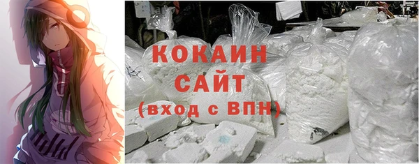 индика Абаза