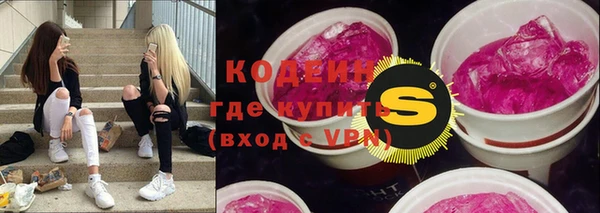 индика Абаза