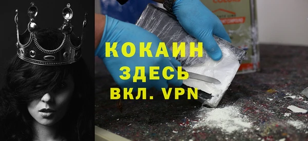 индика Абаза